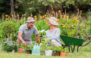 alt="senior activity gardening"