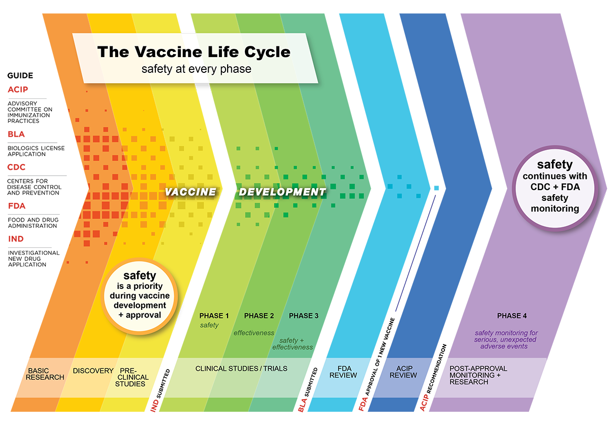 vaccine safety process, vaccine life cycle