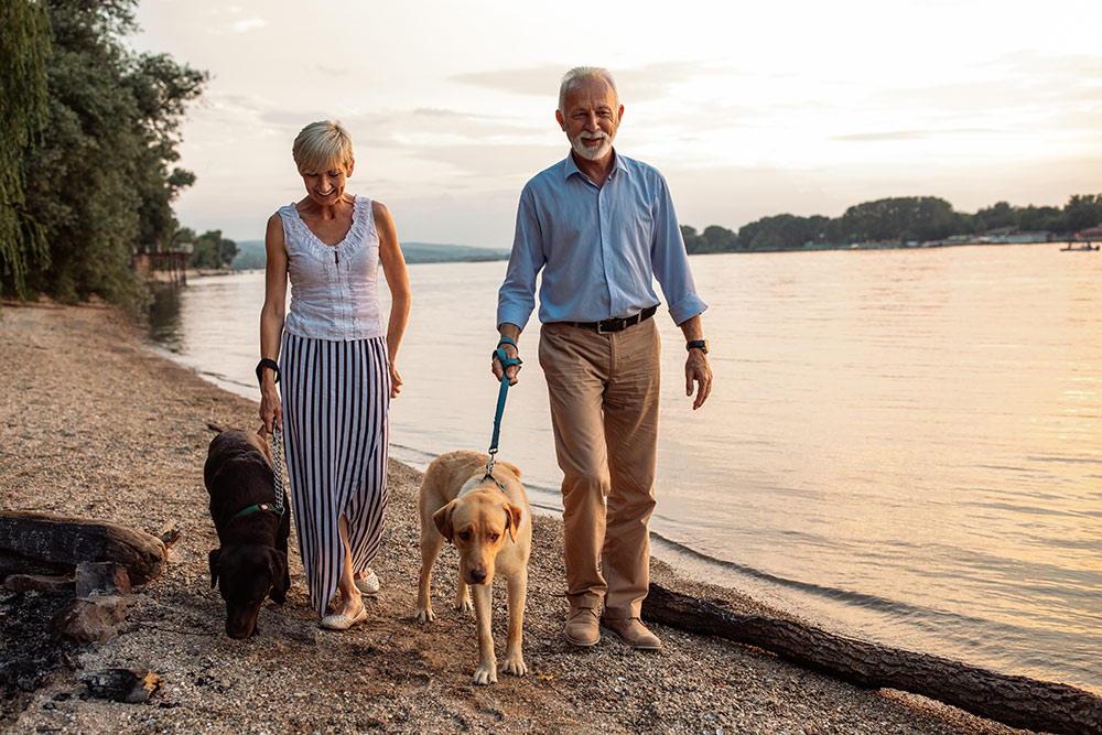 Senior couple walking dogs by lake side, smiling and happy